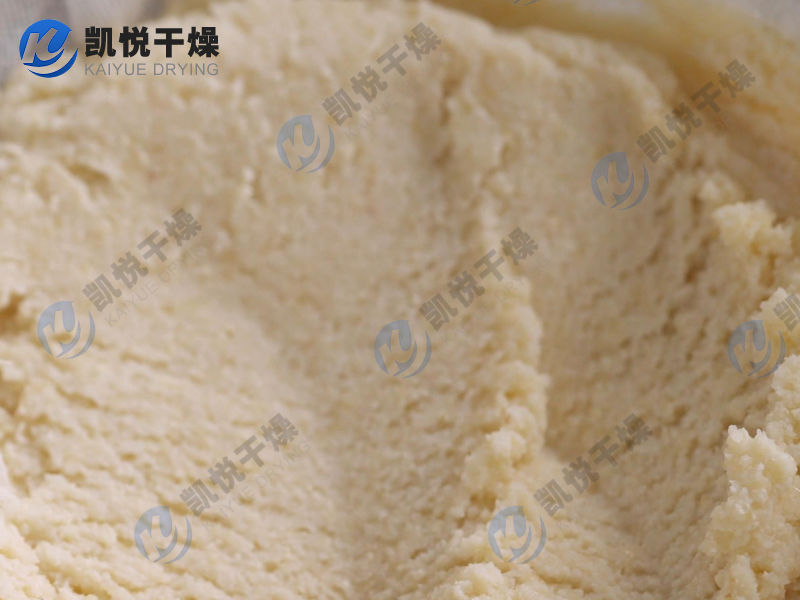 豆渣閃蒸枯燥機(安徽XX豆成品)
